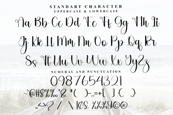 Shophia Romantic Font PNG with transparent background - Preview 4