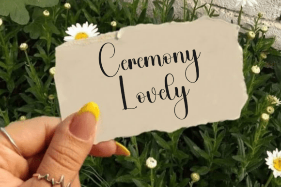Awesome Summer Font - Preview 2