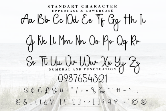 Brother Wedding Font - Preview 4