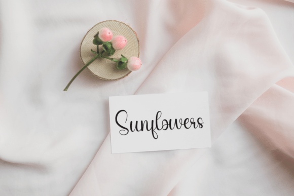 Butterfly Font - Preview 2