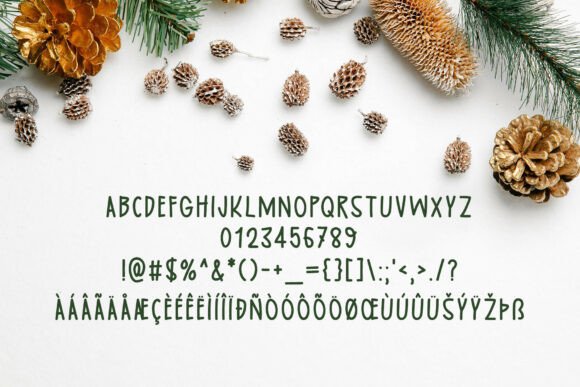 Celebrate Holiness Font - Preview 4