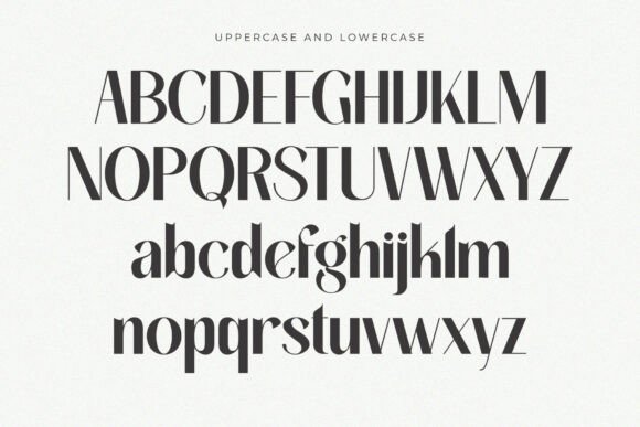 Celina Regular Font - Preview 1