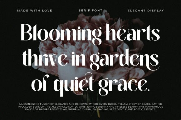 Celina Regular Font - Preview 2