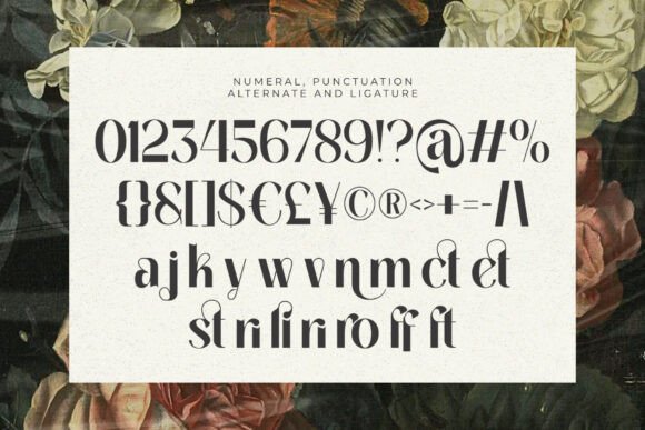 Celina Regular Font - Preview 3