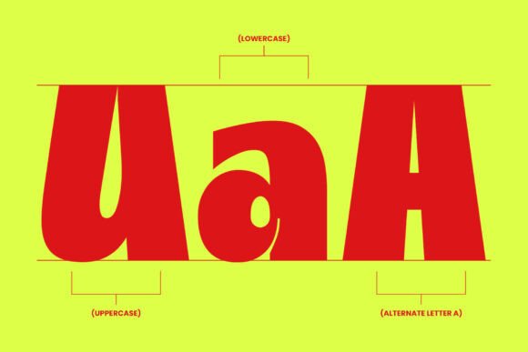 Colette Regular Font - Preview 4
