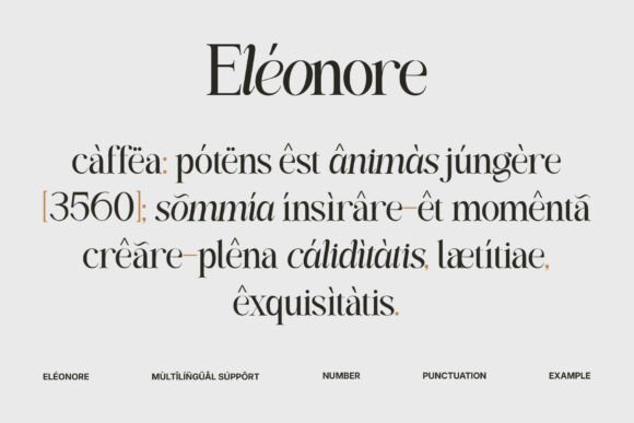 Eleonore Regular Font - Preview 3