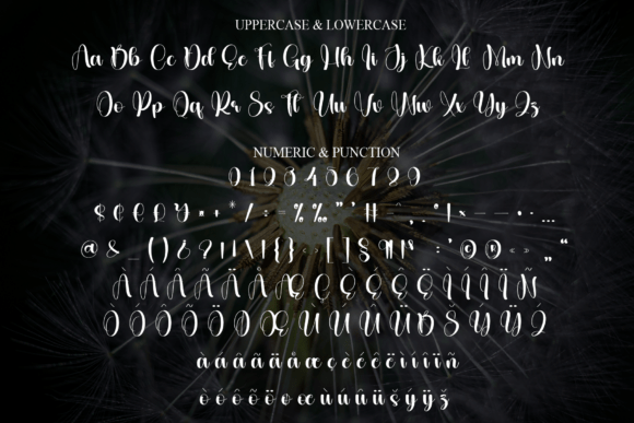 Black Dandelion Font - Preview 6