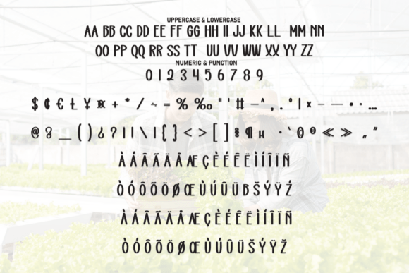 House Farming Font - Preview 6