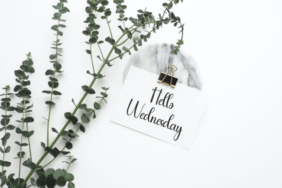 Panda Font PNG with transparent background - Preview 2