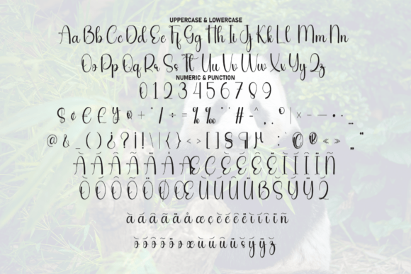 Panda Font PNG with transparent background - Preview 6
