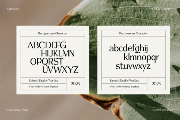 Salicraft Font PNG with transparent background - Preview 2
