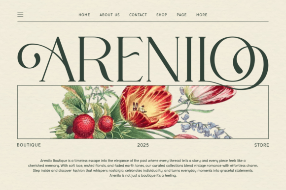 Aureline Castelo - Elegant Serif Typeface Font - Preview 1