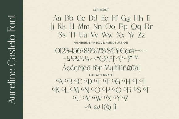 Aureline Castelo - Elegant Serif Typeface Font - Preview 3