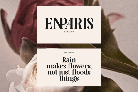 Bipane Homeris Font - Preview 2