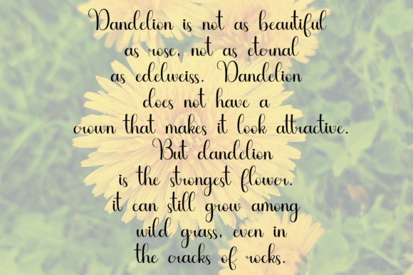 Dandelion Font - Preview 1