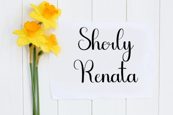 Dandelion Font - Preview 3