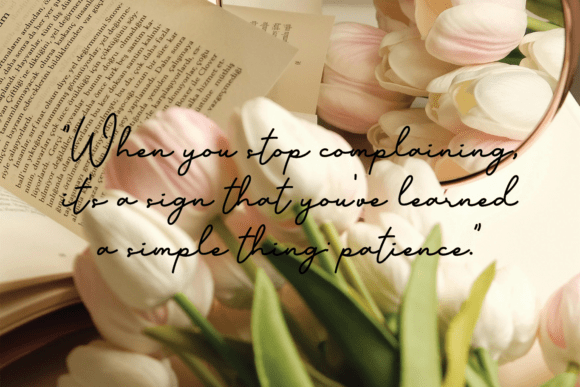 Forever Font - Preview 3