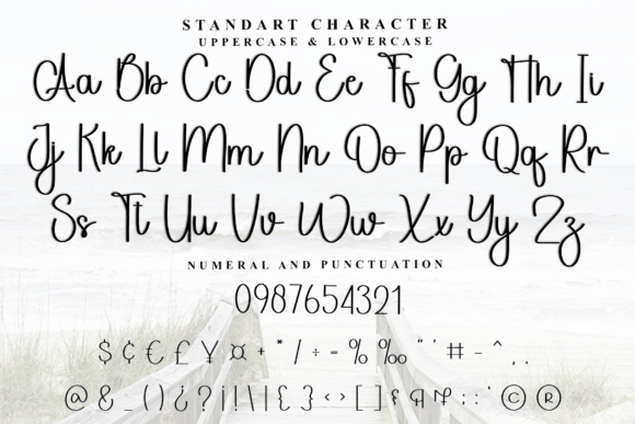 Signature Wedding Font PNG with transparent background - Preview 4