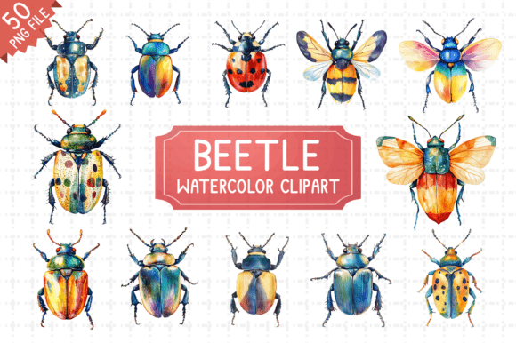 Beetle Watercolor Clipart Bundle PNG Graphic by Craftking · Creative ...