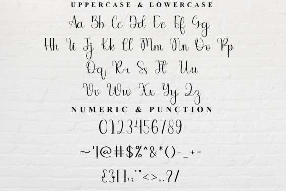 Carrolina Font - Preview 6