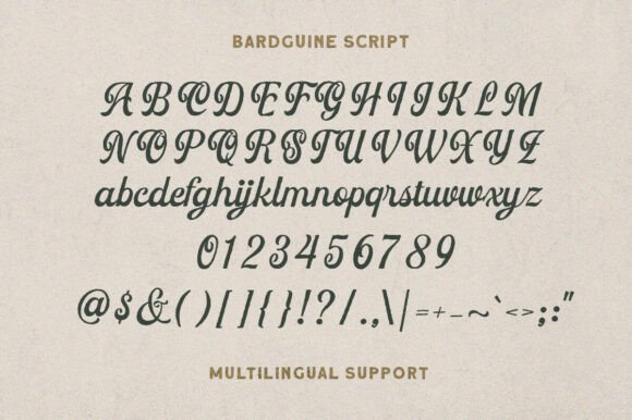 Bardguine Serif & Script Duo Font Font - Preview 4