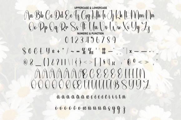 Daisy Flower Font - Preview 6