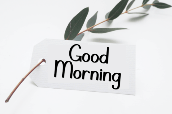 Darling Monday Font PNG with transparent background - Preview 6