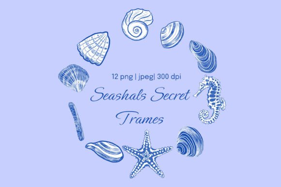 Nautical Shell Frame and Corner Clipart