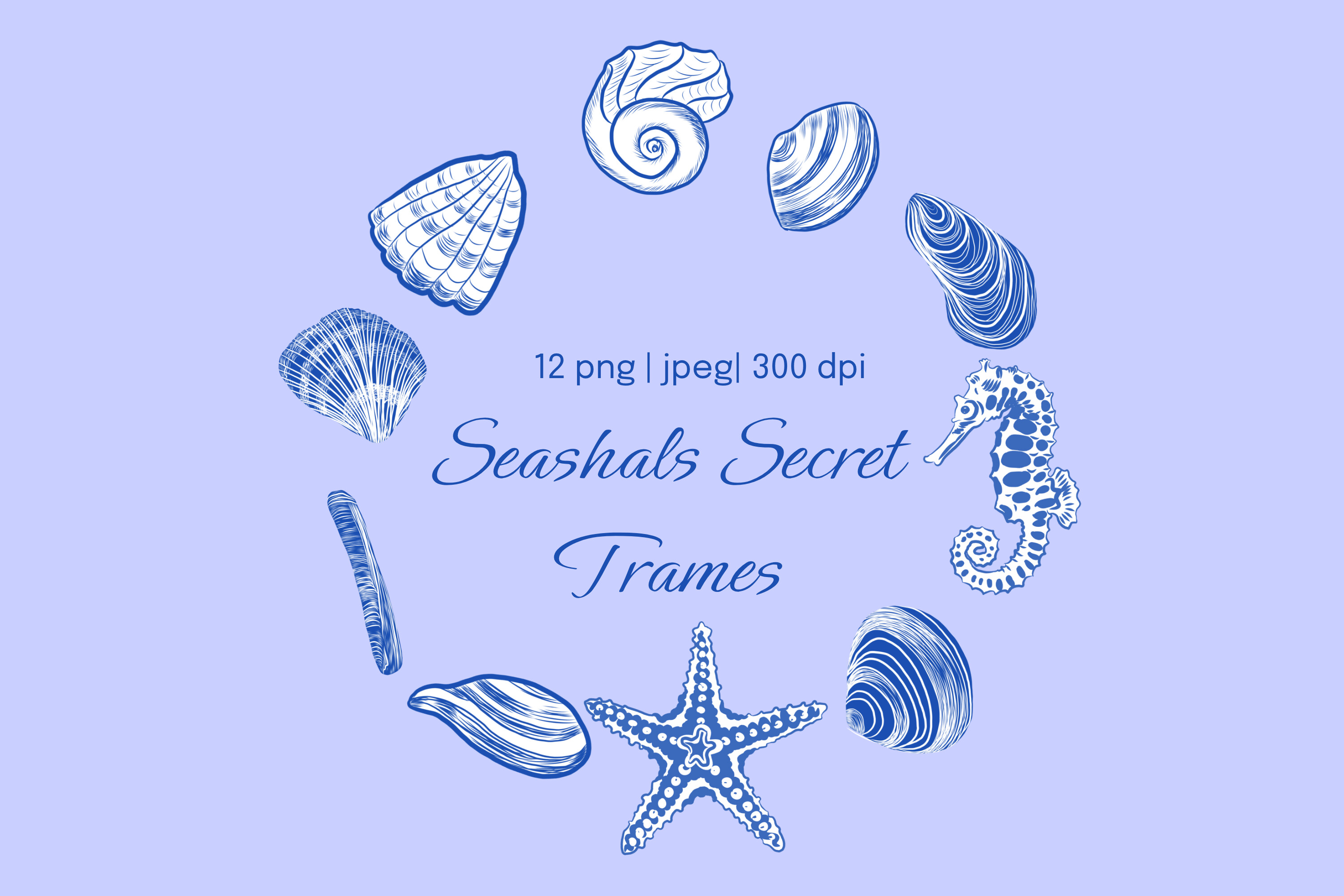 Nautical Shell Frame and Corner Clipart
