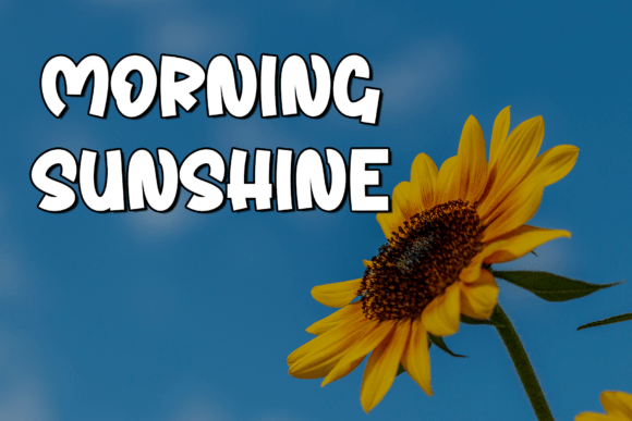 Shine Sunday Font PNG with transparent background - Preview 2