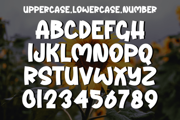 Shine Sunday Font PNG with transparent background - Preview 3