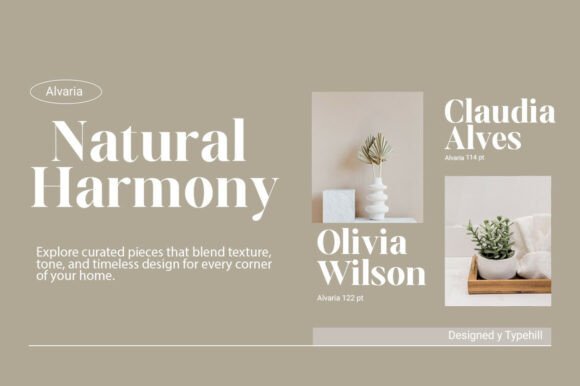 Alveria Serif Font - Preview 4