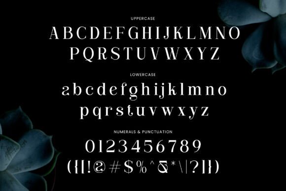 Clarita Font - Preview 5