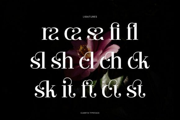 Clarita Font - Preview 6