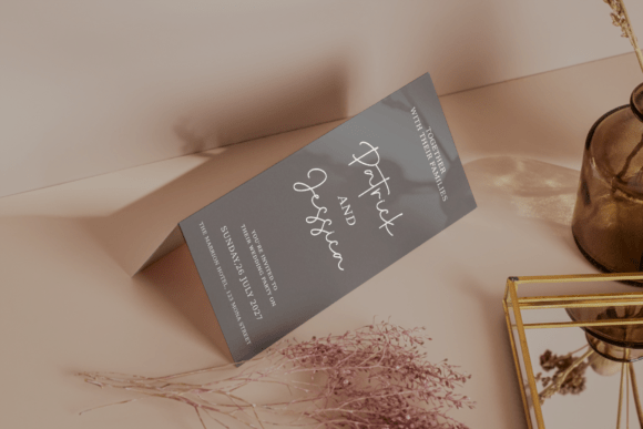 Fridea Script Font - Preview 2
