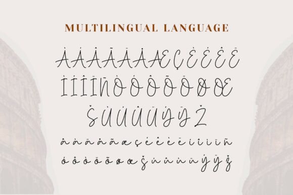 Fridea Script Font - Preview 5