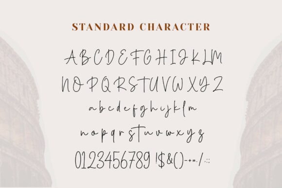 Fridea Script Font - Preview 6