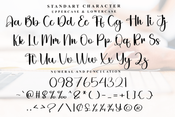 Homestay Font - Preview 4
