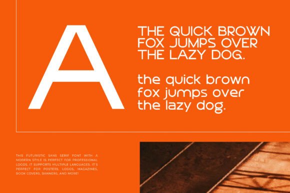 Begonia Font - Preview 1