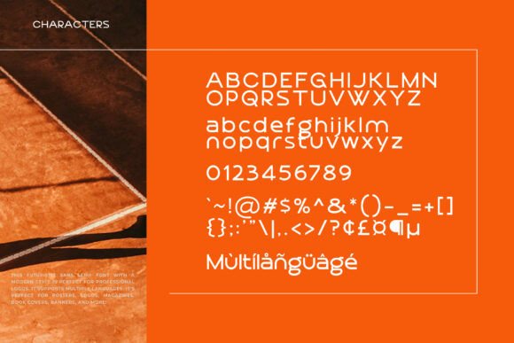 Begonia Font - Preview 5