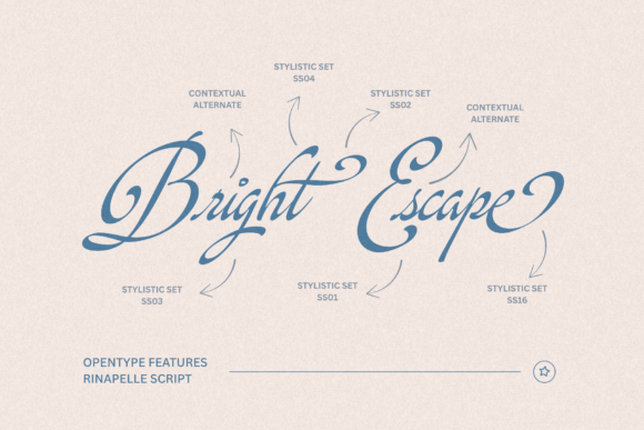 Rinapelle Script Font PNG with transparent background - Preview 2