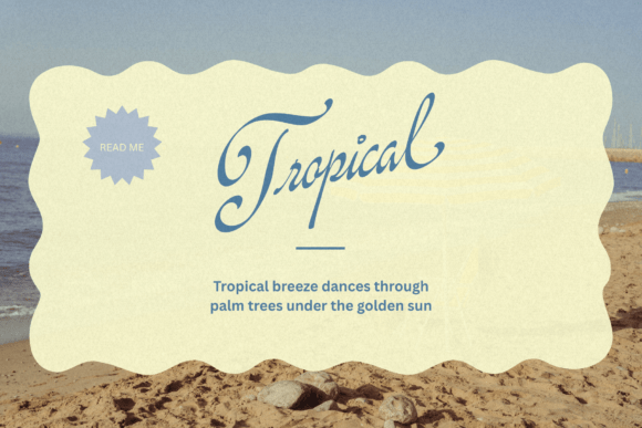 Rinapelle Script Font font preview - 5
