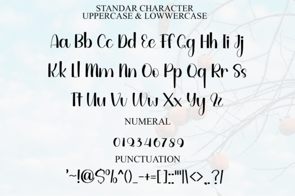 Cherry Font - Preview 2