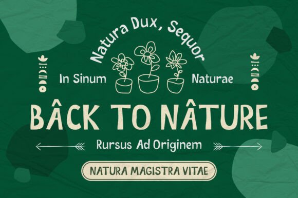Crucila Regular Font - Preview 3