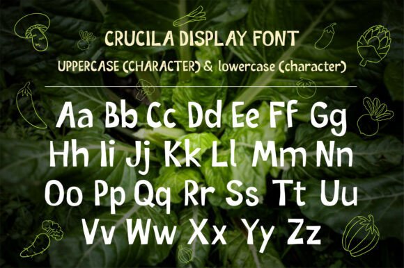 Crucila Regular Font - Preview 5