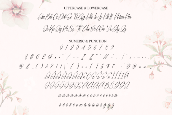 Daisy Signature Font PNG with transparent background - Preview 6