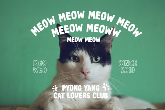 Dooca Font PNG with transparent background - Preview 2