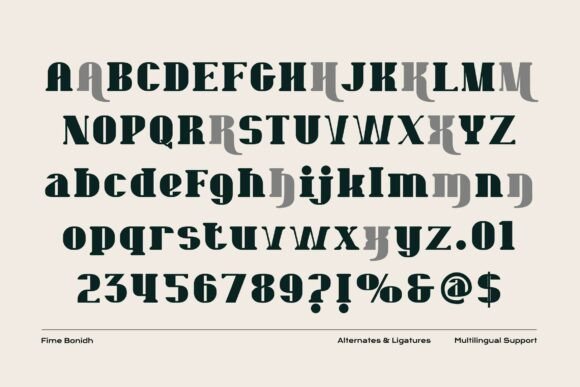 Fime Bonidh Font - Preview 4