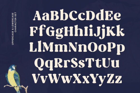 Rost Bird Font PNG with transparent background - Preview 1