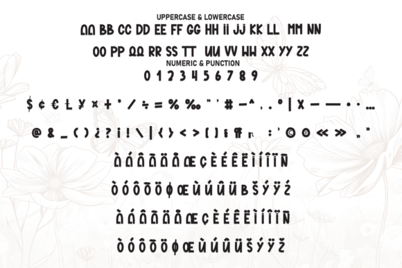 Amellia Font - Preview 6